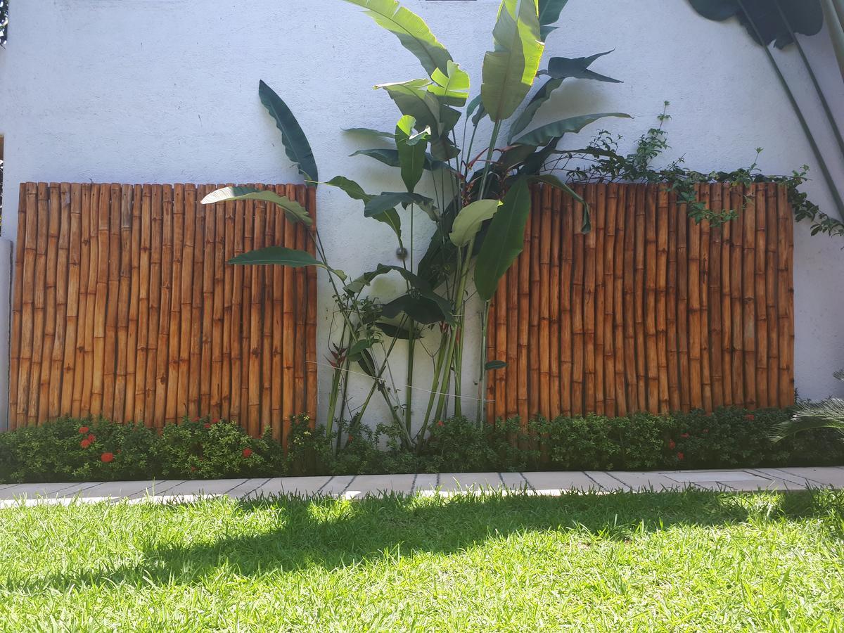 Casa Luz De Luna Apartment Zihuatanejo Ngoại thất bức ảnh